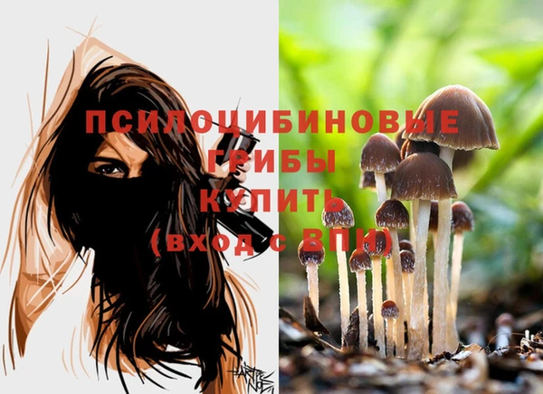 ALPHA-PVP Абинск