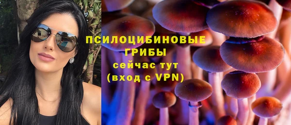 амф Алексеевка