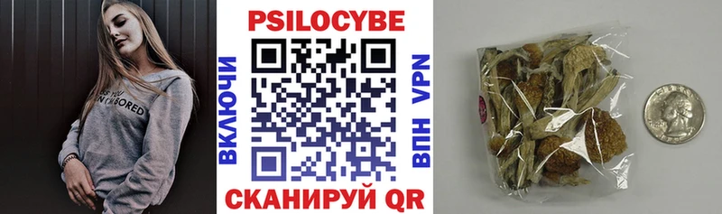 МЕГА маркетплейс  Белый  Псилоцибиновые грибы Psilocybe  где купить наркотик 